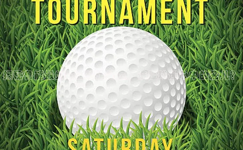 谈球吧体育app下载猫眼