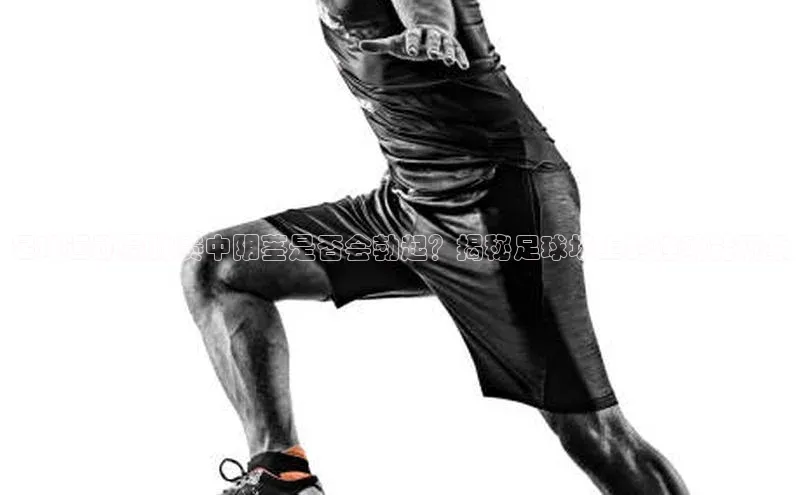 谈球吧网app官网下载如流