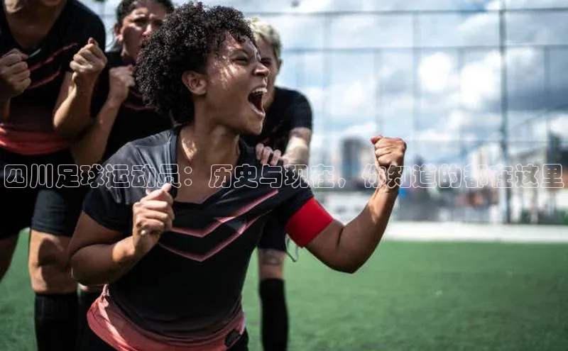 谈球吧登录网百度识图