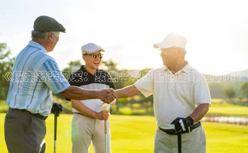 谈球吧平台app轻美电器