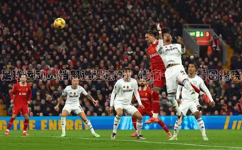 谈球吧官方网站华扬联众