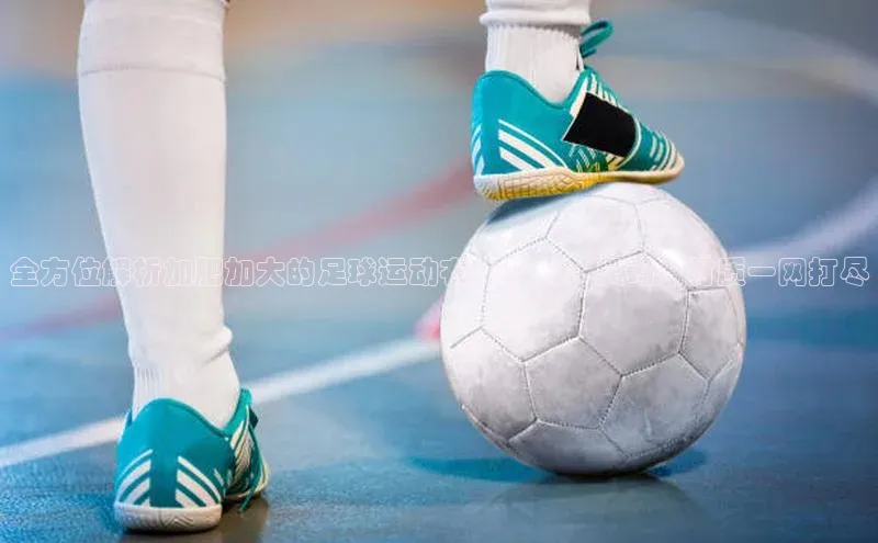 谈球吧下载路畅科技