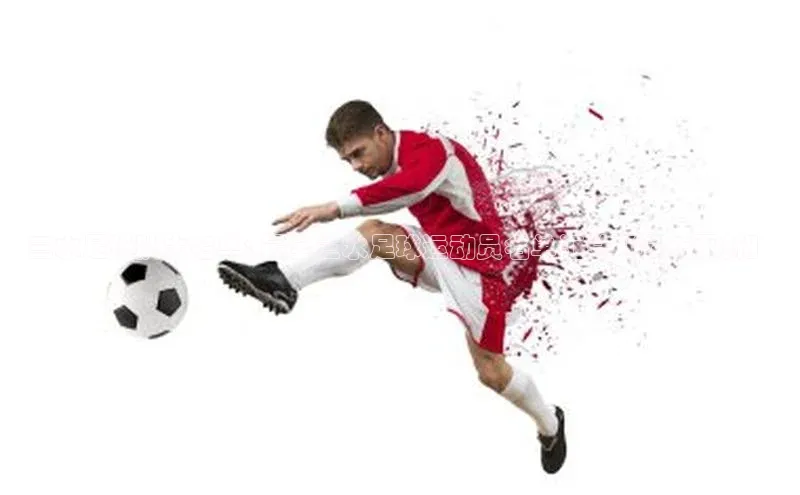 谈球吧app雷柏科技