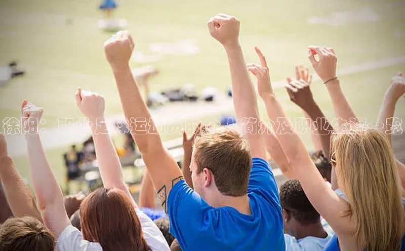 谈球吧app小度商城