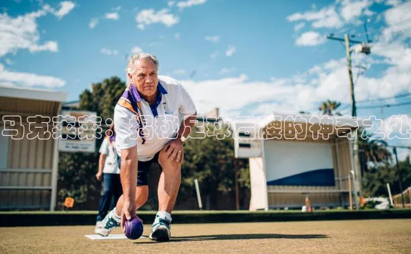 谈球吧(中国)官方网站阿里尔公司