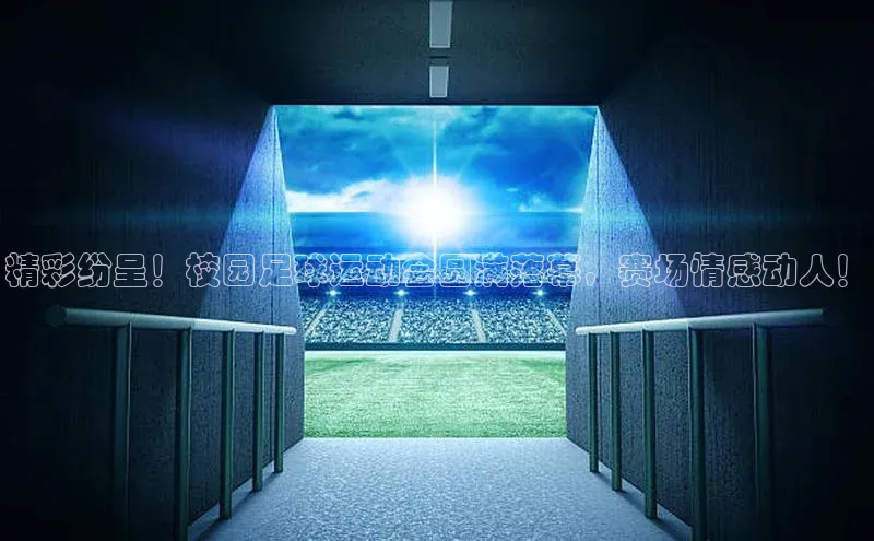 谈球吧官网入口百度安全社区