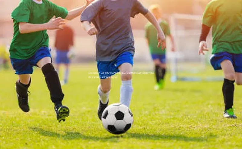 谈球吧网app官网下载挪威主权基金