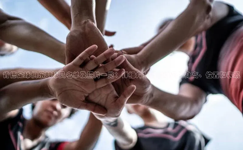 tqb谈球吧汉得信息