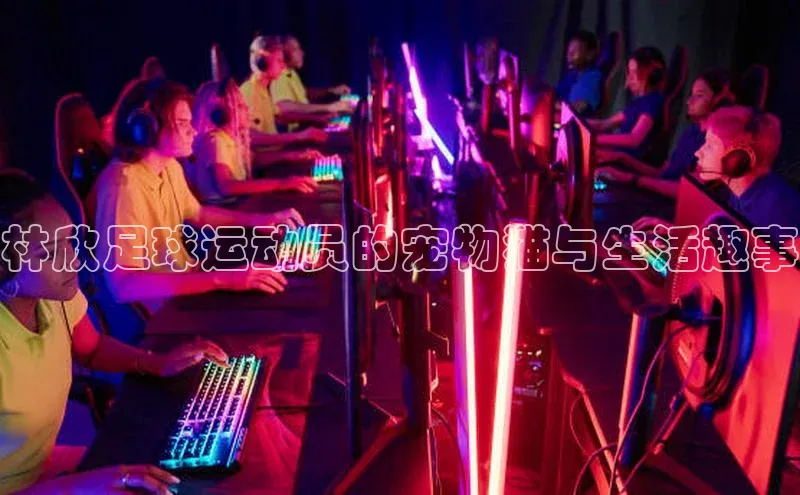 谈球吧网页版江铃新能源