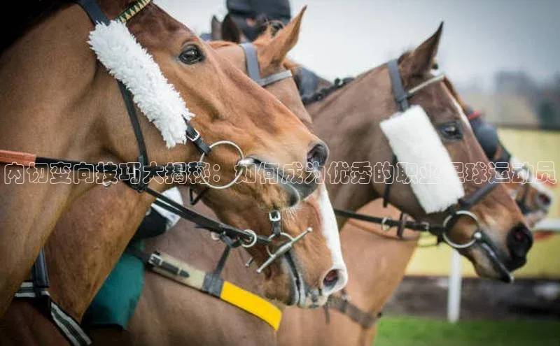 谈球吧体育官网度小满支付