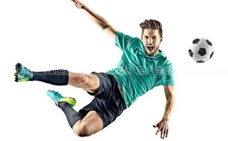 谈球吧平台app百度人工翻译