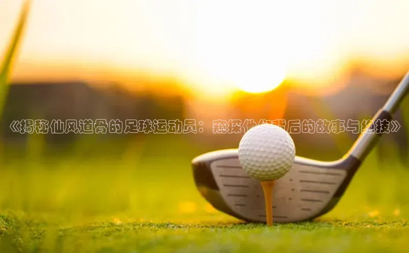 谈球吧官网app华策影视