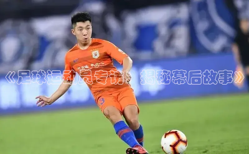 谈球吧(中国)官方网站阿里尔公司