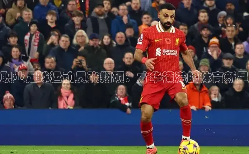 谈球吧网址百度网盘企业版