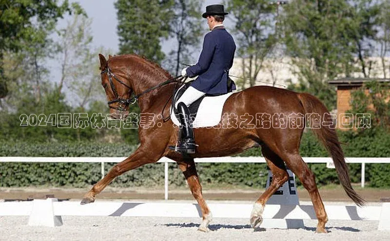 谈球吧网app官网下载挪威主权基金