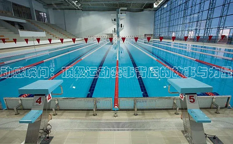 谈球吧app官方入口网站