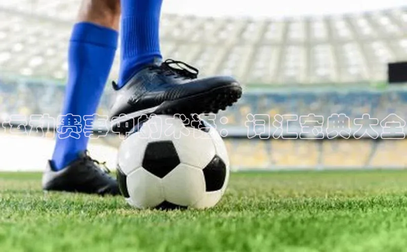 谈球吧网页登录