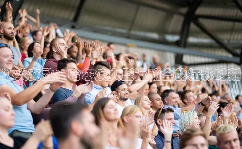 谈球吧app官方入口网站