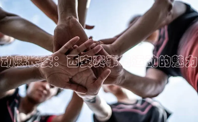 谈球吧体育app下载