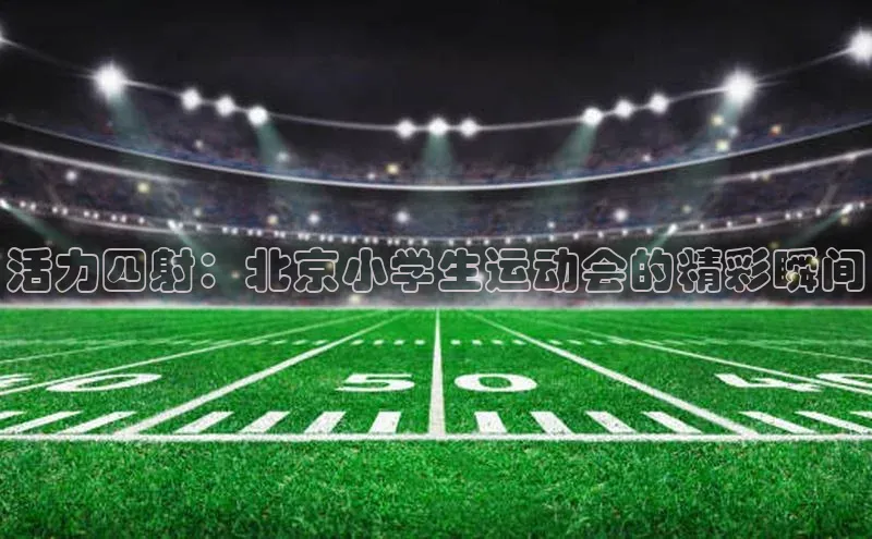 谈球吧体育官网入口